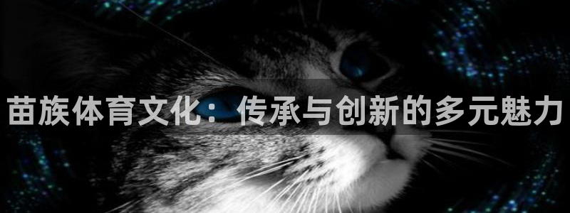 MK体育官网下载招商:苗族体育文化:传承与创新的多元魅力