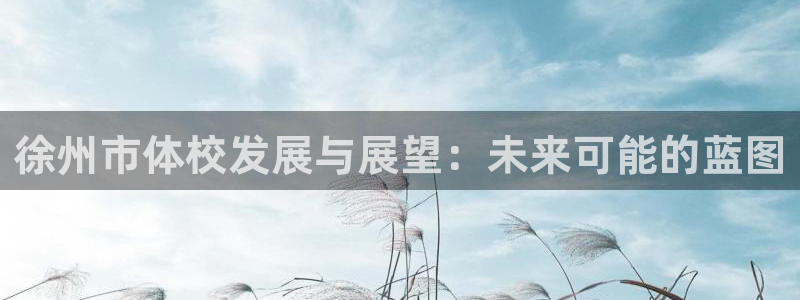 MK体育官方正版app娱乐网站:徐州市体校发展与展望:未来可